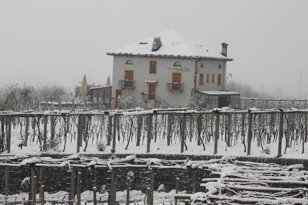 Fattoria L'Amorosa Sementina Luaran gambar