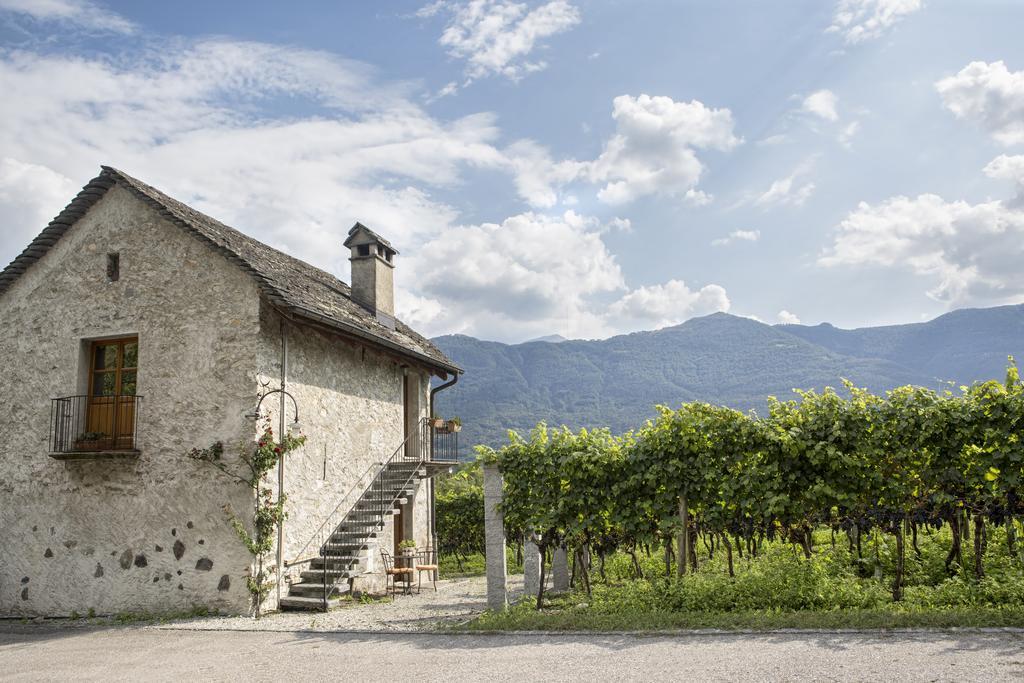 Fattoria L'Amorosa Sementina Luaran gambar