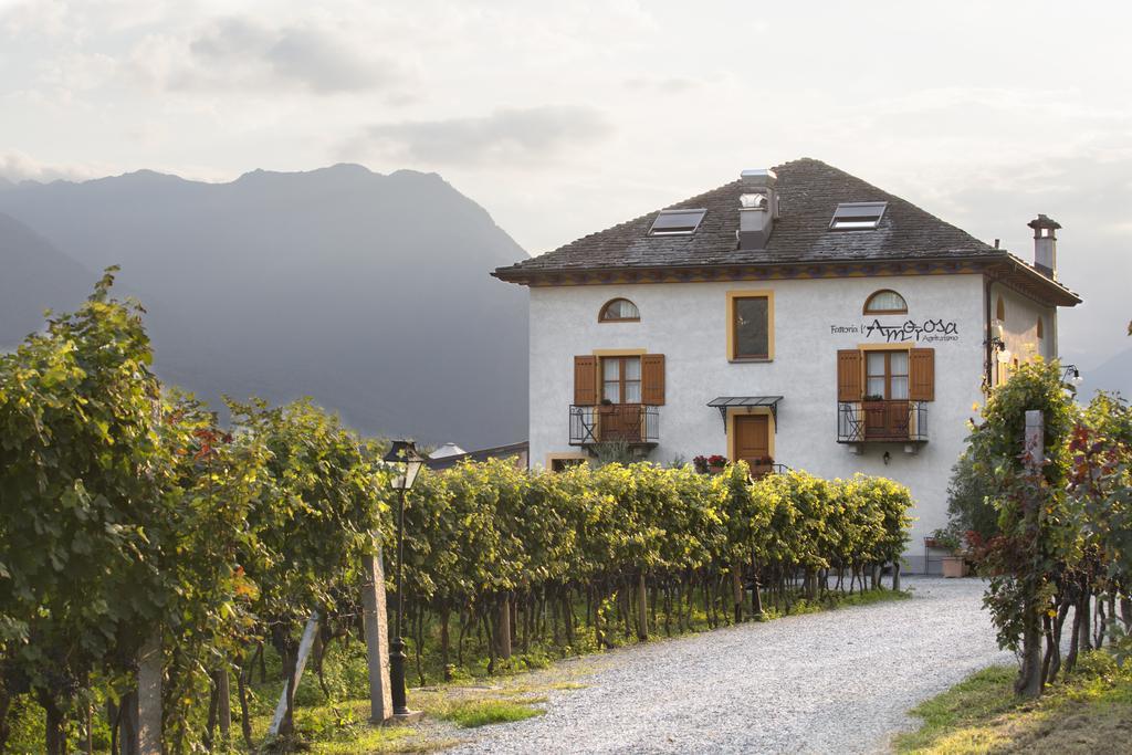 Fattoria L'Amorosa Sementina Luaran gambar